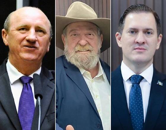 Chapa do PODEMOS terá Roveri, Geller e Barbudo na disputa para deputado federal