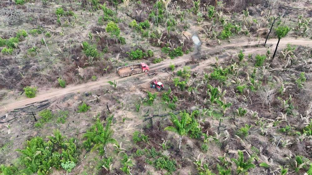 Desmatamento ilegal avança e reacende conflito agrário em MT