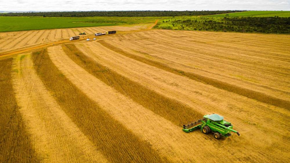 MT manteve a liderança nacional na produção da oleaginosa pela 26ª safra consecutiva