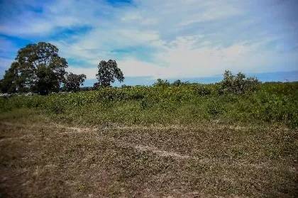 Projeto que revoga reserva extrativista na Região Norte é retirado da pauta 