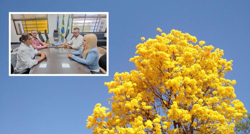 TRE-MT vai plantar ipês-amarelos para contribuir com arborização urbana  