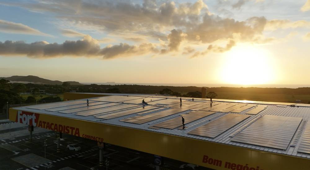 Dia Mundial do Meio Ambiente: Grupo Pereira alcança 97% de energia renovável e reforça agenda de transição energética
