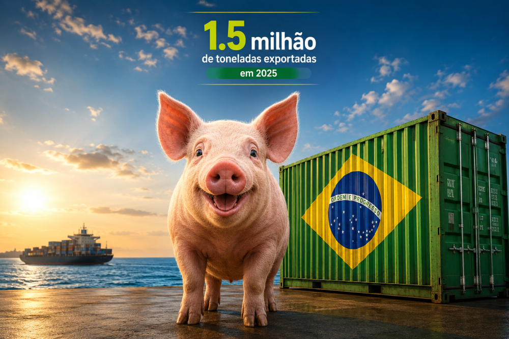 Brasil já é o terceiro maior exportador de carne suína do planeta