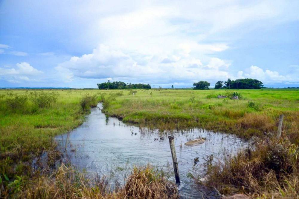 TJ nega Ação Civil Pública proposta pelo MPE contra drenagem em áreas úmidas situadas nas planícies do Araguaia e do Guaporé 