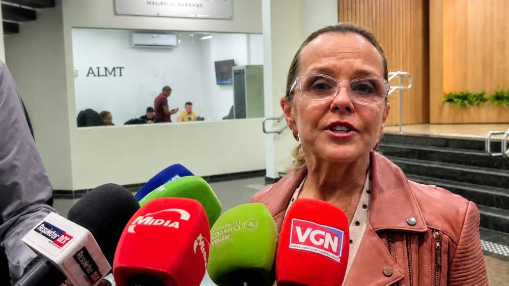 Eu que sou a pré-candidata do PSD, garante Natasha