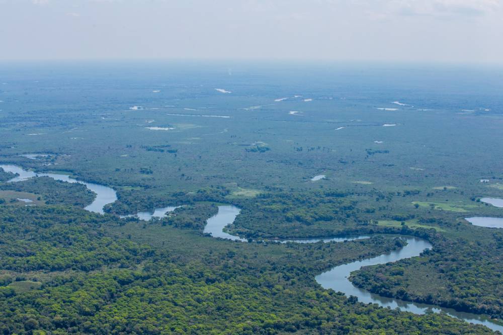 Maior reserva privada do Brasil completa 29 anos e é referência em conservação, pesquisa e desenvolvimento sustentável no Pantanal