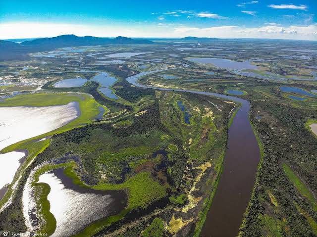 Pesquisadores da UNEMAT divulgam nota técnica que defende a ampliação da Estação Ecológica Taiamã; novo projeto ameaça área