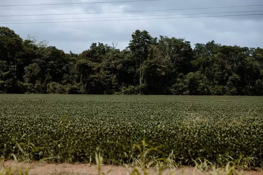 Maioria do Supremo decide validar Moratória da Soja