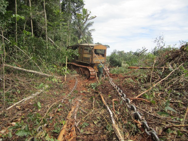  Desmatamento avança em 2019 na Amazônia, que perde 19 hectares de florestas por hora