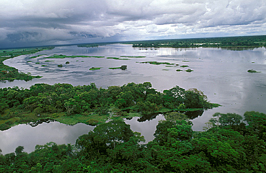 PARECE ATÉ PIADA! Ibama avisa antecipadamente onde fará operações contra desmatamento na reserva da Jamanxim, na divisa de MT com o Pará