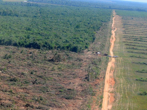 Investigações contra crimes ambientais em mananciais de água em MT serão reforçadas com recursos internacionais