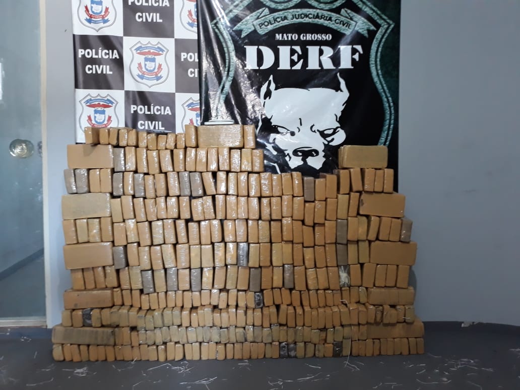 JUVENTUDE PERDIDA: Polícia Civil apreende 500 kg de maconha com duas adolescentes em Rondonópolis