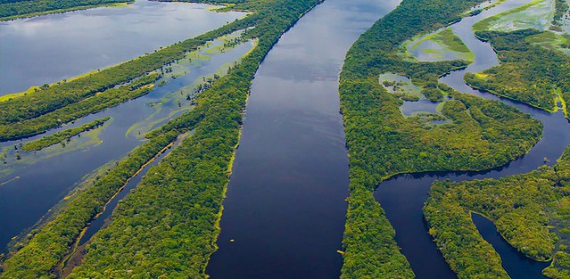 VALE A PENA LER: 'Precisamos tomar juízo em relação à Amazônia', diz empresário cofundador da Natura