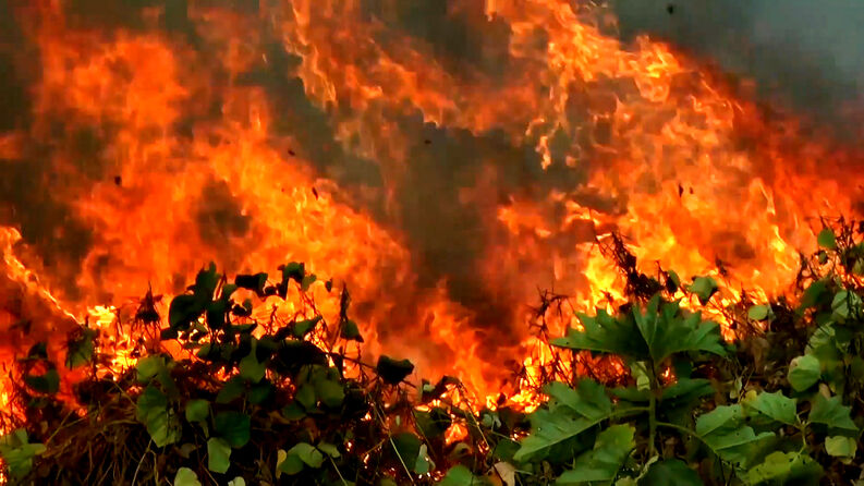 Fogo se alastra em Chapada dos Guimarães e chamas “queimam” também imagem de preservação ambiental de Mato Grosso