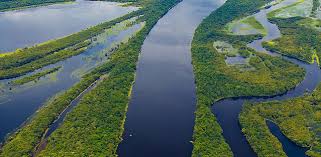 Sete em cada 10 católicos brasileiros defendem a preservação da Amazônia e consideram 