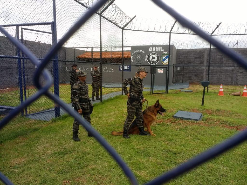Estado regulamenta uso de cães como reforço na segurança penitenciária 