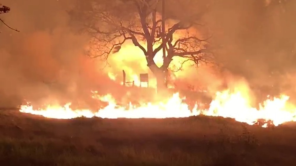   Enquanto em MT o Pantanal segue livre de fogo, já no vizinho MS a região arde em chamas