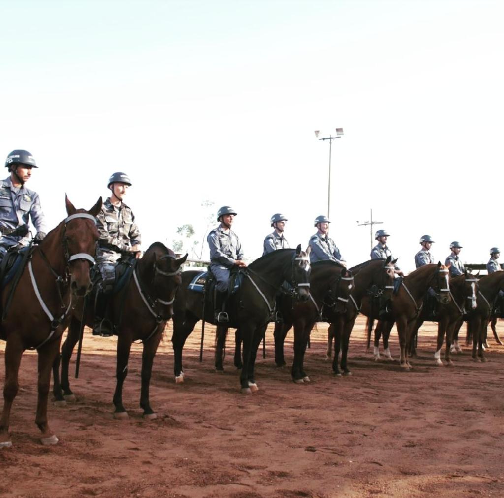PM forma nais quinze policiais especializados em policiamento montado 