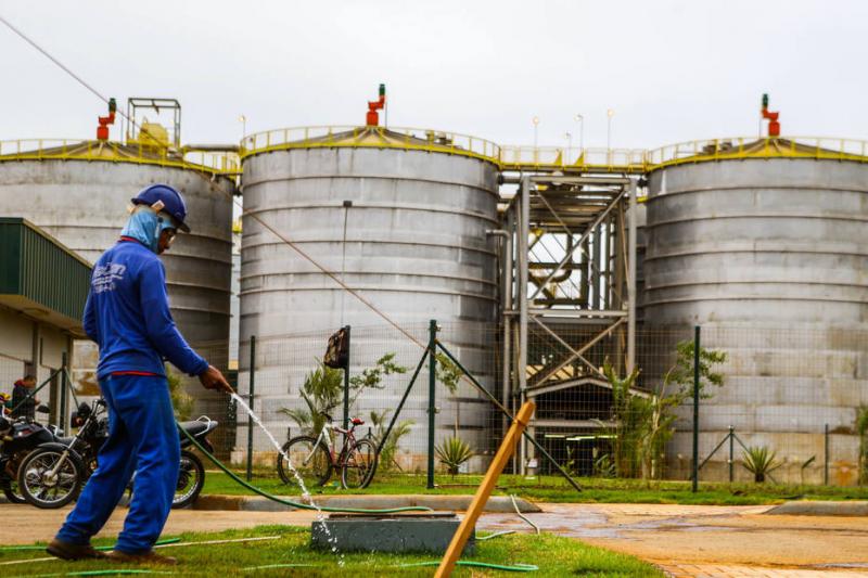 Revogado decreto que limitava plantio de cana-de-açúcar na Amazônia e no Pantanal; MS e MT são grandes produtores do país sem 