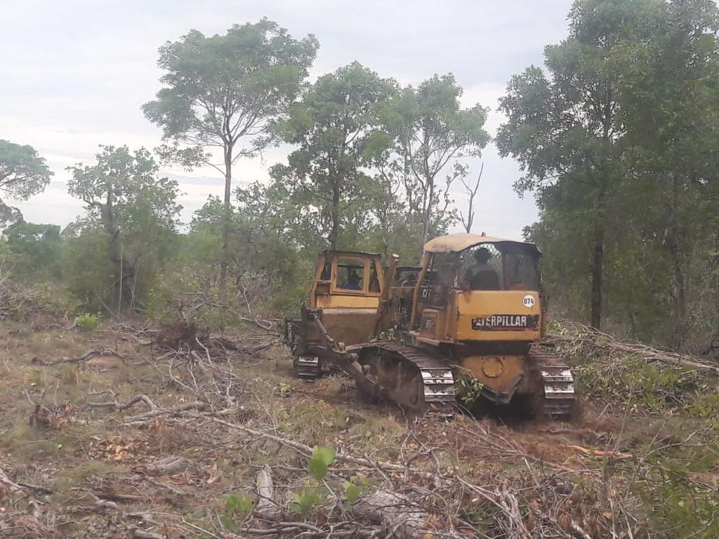 Sema e Batalhão Ambiental da PM flagram desmatamento no Pantanal e apreendem seis tratores de esteira  e um de pneu