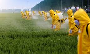 CONTAMINAÇÃO: Teste da Anvisa encontra agrotóxicos acima do permitido em alimentos