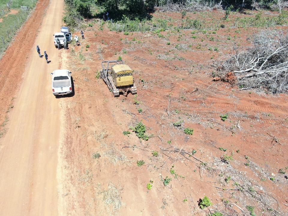 Área desmatada e confinamento bovino são embargados no Oeste de MT