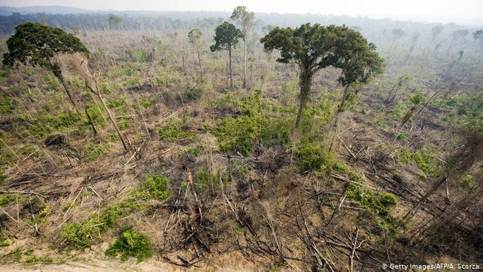 Governo federal afrouxa fiscalização e crimes ambientais batem recorde na Amazônia