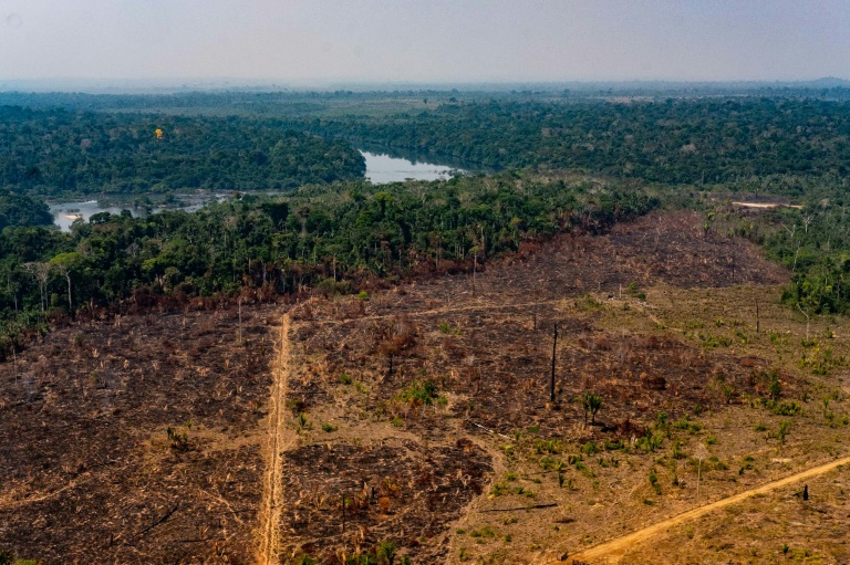 Após Bolsonaro e Salles terem espantado ajuda internacional para a Amazônia, Mourão articula apoio para a região