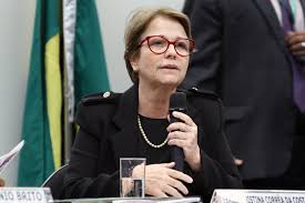 MT e o País não precisam mais derrubar uma árvore sequer para atender demanda da agropecuária