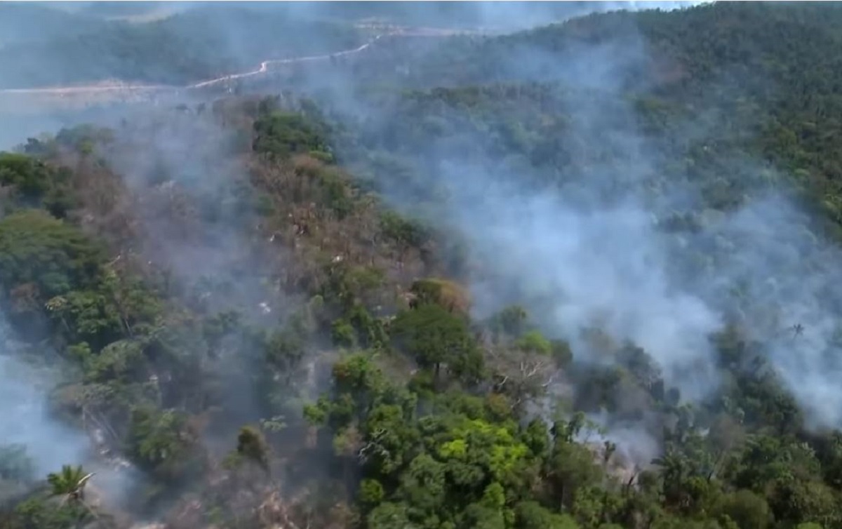 Com MT e Pará liderando o fogo, Amazônia tem neste mês maior número de queimadas desde 2007