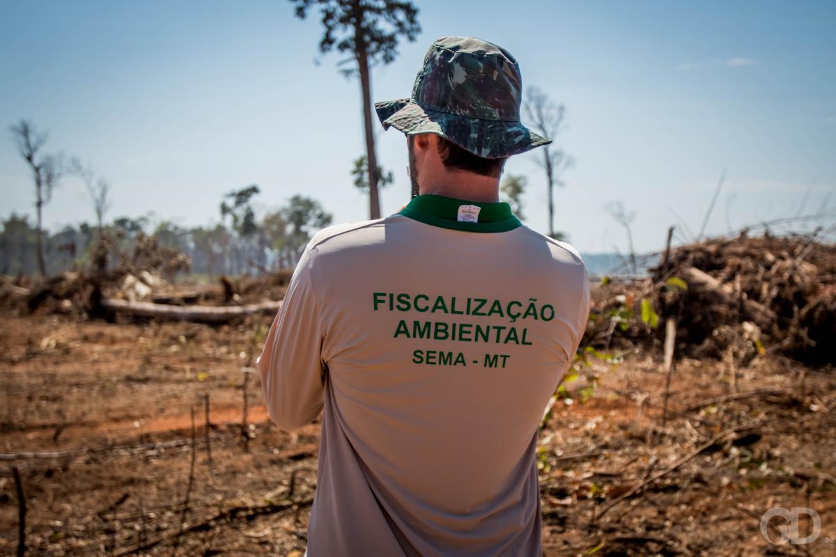 Queimadas em parques levam Sema elaborar ações estratégicas de prevenção e combate a incêndios