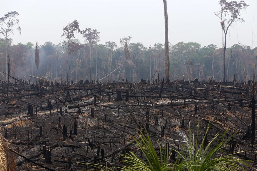 Queimada na Amazônia em junho é a maior dos últimos 13 anos e preocupa até grandes bancos, além do agro