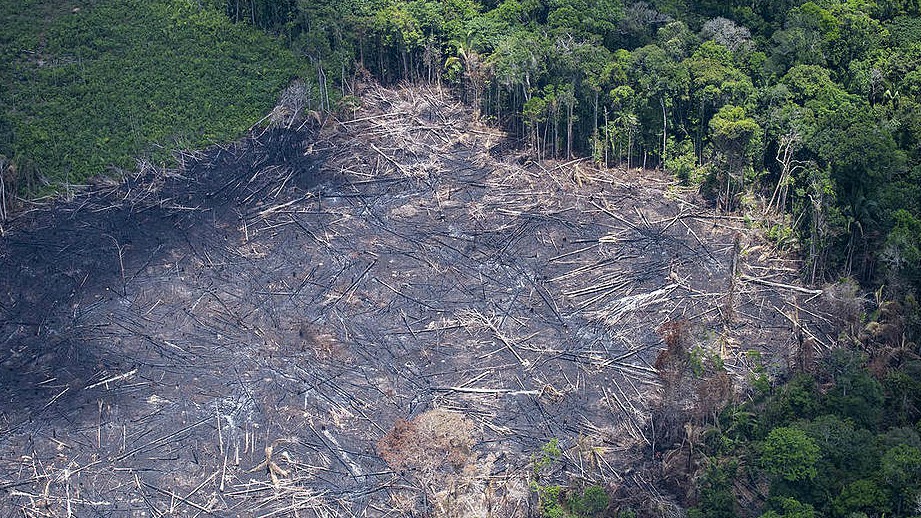 Justiça Federal em MT acata pedido da AGU e bloqueia R$ 143 milhões em bens de desmatadores no Nortão