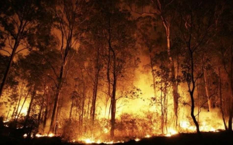 Barões do agro de MT vendo o “circo pegar fogo”, reclamam do “incendiário” a quem deram o isqueiro