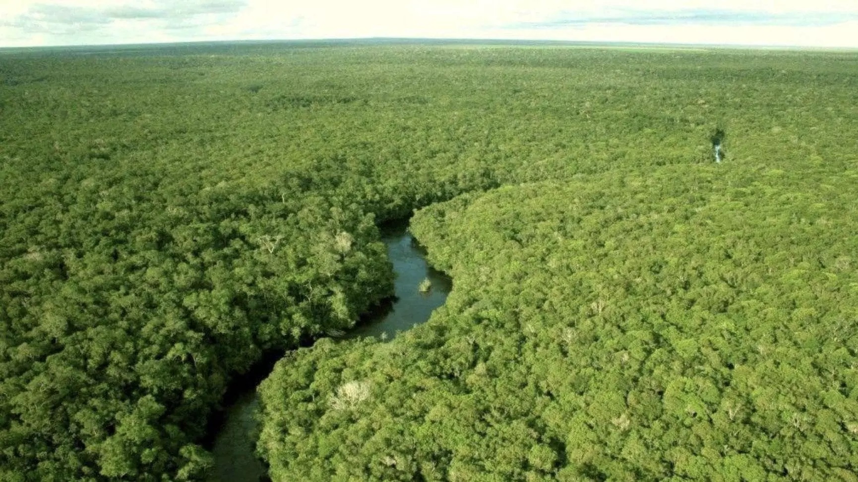 MT e mais 8 Estados têm áreas de matas entre as mais protegidas do mundo 