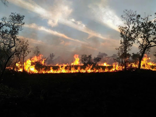 Após emergência, Forças Armadas reforçam combate a incêndios no Pantanal 