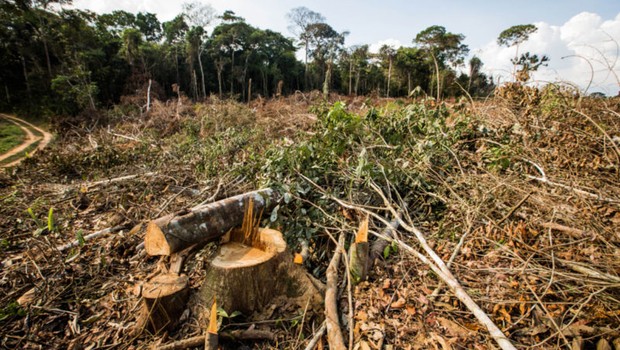  Veja aponta que 4 fazendeiros de MT estão entre os 10 que mais desmataram na Amazônia Legal