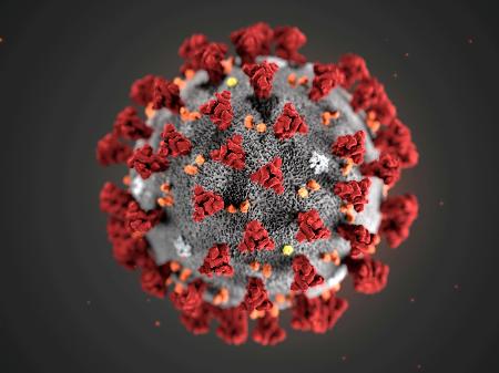 PANDEMIA: Brasil lidera novas mortes confirmadas por coronavírus em 24 horas, diz OMS