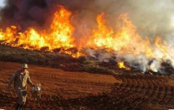 Com as queimadas avançando no Pantanal e a destruição da flora e fauna,  MT amplia força-tarefa para combater o fogo