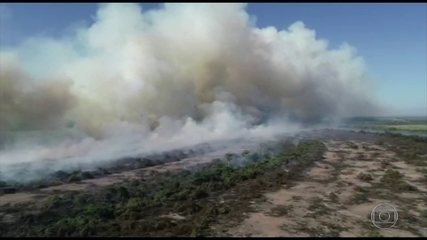 Os estragos das queimadas no Pantanal de MT já destruíram 35O mil hectares e sufocam clima em Cuiabá