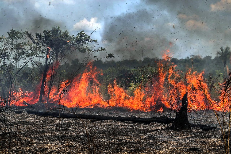 QUEIMADAS: 2020 pode registar um marco destrutivo para Amazônia