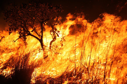 RECORDE: Mesmo com militares no combate a incêndios, agosto foi 2º pior mês de queimadas na Amazônia nos últimos dez anos, conforme dados analisados pelo Inpe