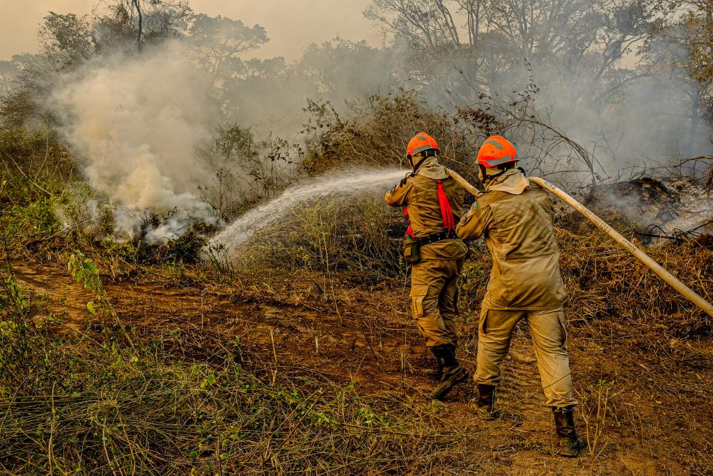 CRIME AMBIENTAL: Laudos periciais constatam que ação humana provocou incêndio em reserva do Pantanal