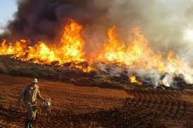 INCÊNDIOS INCONTROLÁVEIS: Queimadas se agravam no Pantanal de Mato Grosso