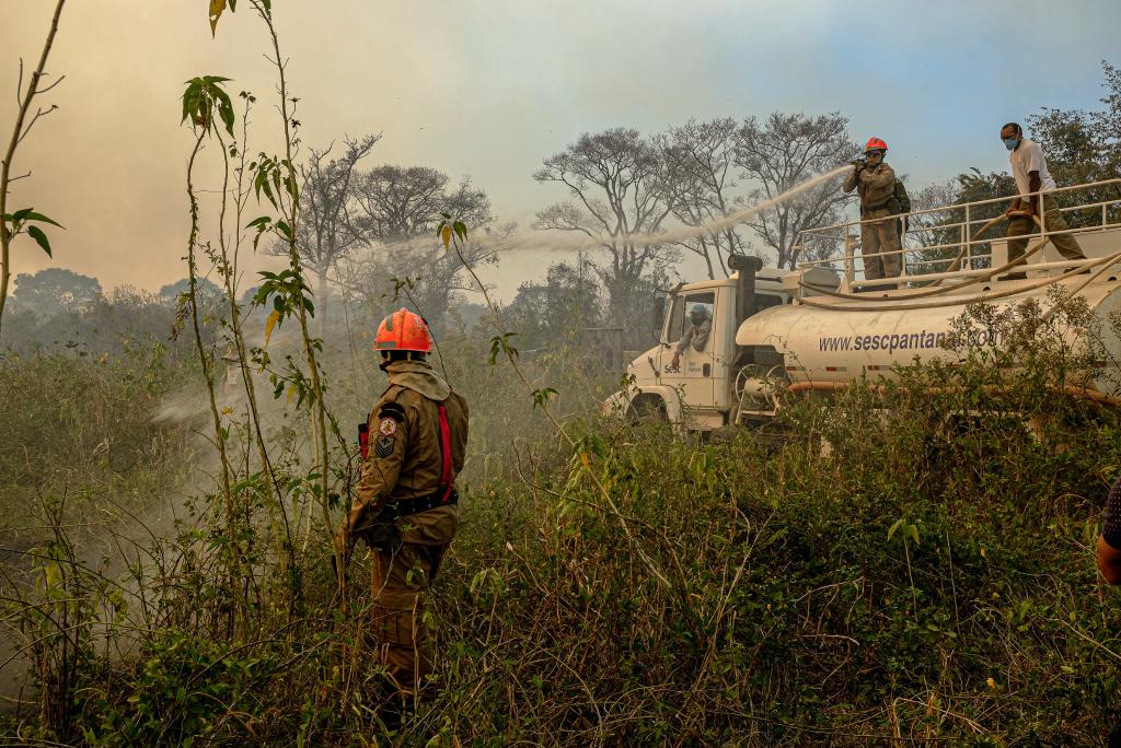 QUEIMADAS: Cinco frentes combatem incêndios no Pantanal com apoio de seis aeronaves