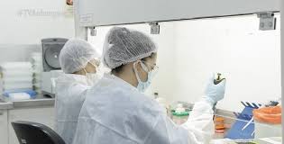 PANDEMIA: Mato Grosso registra na sexta-feira (13), 502 novos casos confirmados de covid-19 e 10 mortes em 24 horas