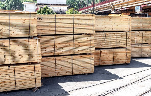 Exportadores de madeira de MT e estados amazônicos temem turbulências no mercado provocadas por fala de Bolsonaro