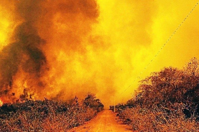 REAÇÃO: “Luz amarela” acende no MP de Mato Grosso com TAC de R$ 1 bilhão  , após incêndios que devastaram a flora e a fauna do Pantanal
