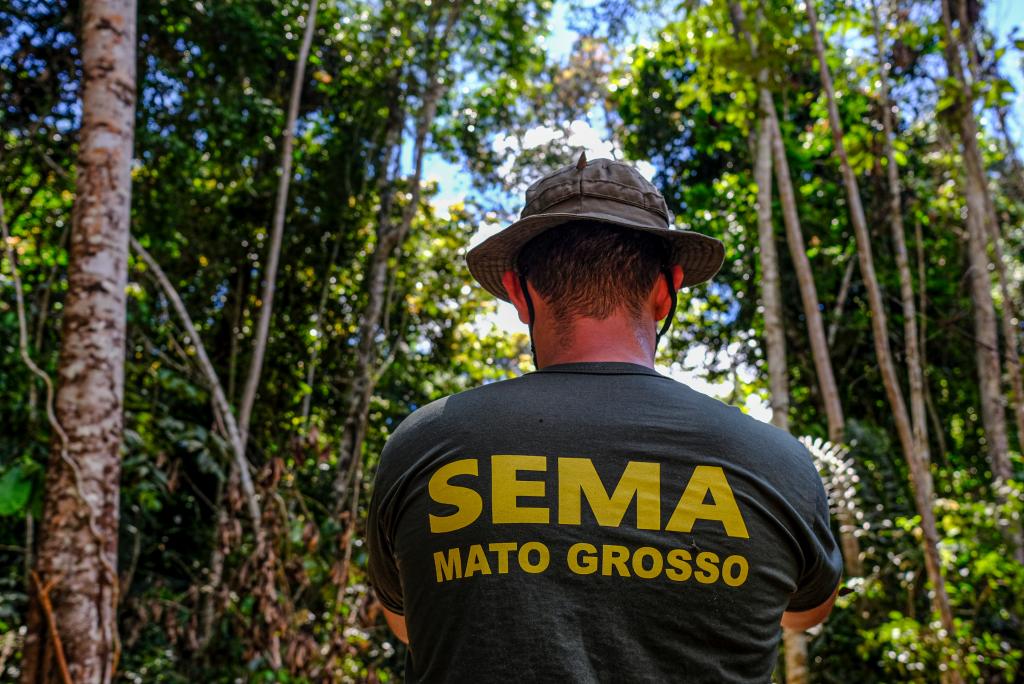 SEMA: Mato Grosso apresenta redução de 31,5% nos alertas de desmatamento nos últimos 6 meses
