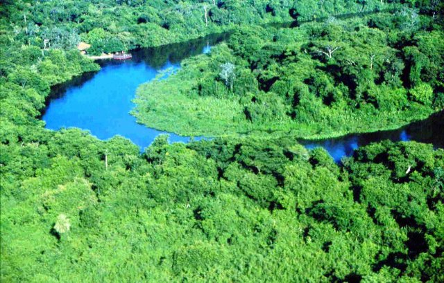 PROTEÇÃO DO ECOSSISTEMA: Botelho defende conservação ambIental a produção sustentável no Pantanal